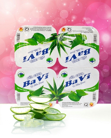 Sưa chua nha đam Ba vì 100g (thùng 48 hộp)