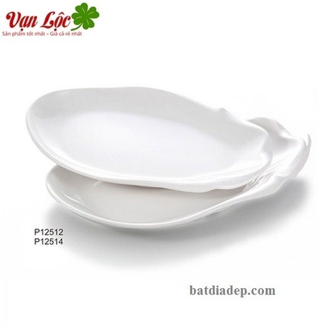 Đĩa kiểu cỡ đại P12512 P12514