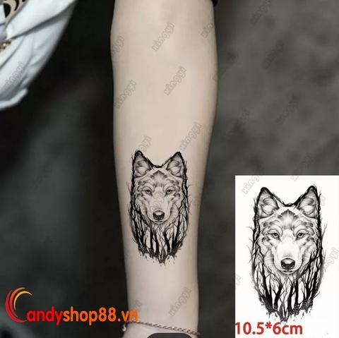 Hình xăm dán tattoo sói RC-763