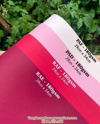 Giấy mỹ thuật tông màu đỏ, hồng (định lượng 165gsm - 180gsm) - Set 06 tờ_CBG02