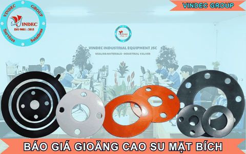 Báo Giá Gioăng Cao Su Mặt Bích Chất Lượng Cao Và Giao Hàng Toàn Quốc