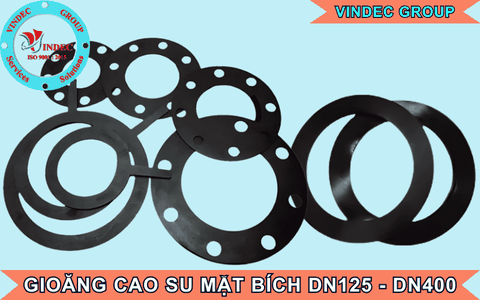 Gioăng Cao Su Mặt Bích DN125, DN150, DN200, DN250, DN300, DN350, DN400