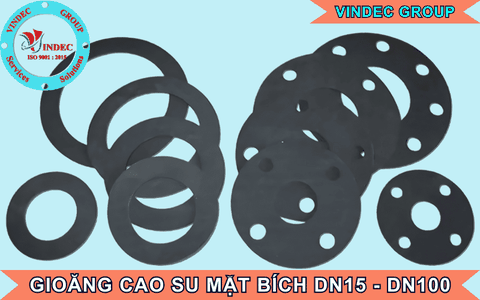 Gioăng Cao Su Mặt Bích DN15, DN20, DN25, DN32, DN40, DN50, DN65, DN80, DN100