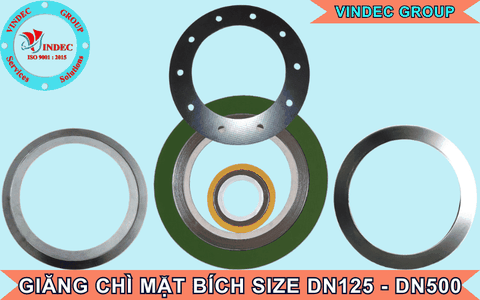 Gioăng Chì Mặt Bích DN125, DN150, DN200, DN250, DN300, DN350, DN400, DN500