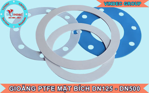Gioăng PTFE Mặt Bích DN125, DN150, DN200, DN250, DN300, 350, 400, 450, 500