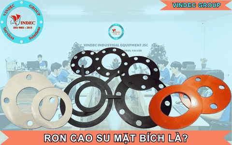 Ron Cao Su Mặt Bích Là Gì? Các Loại Ron Cao Su Mặt Bích Thông Dụng