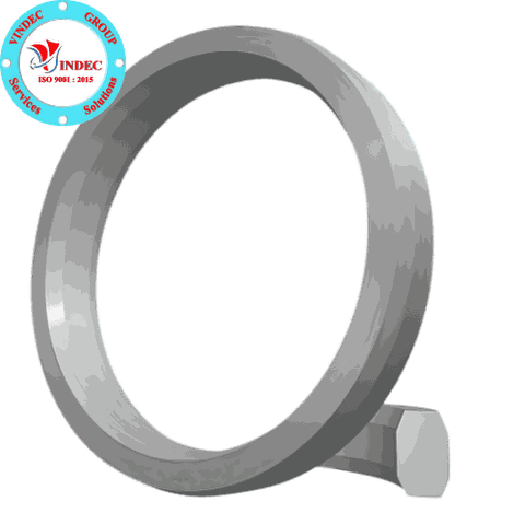R Octagonal Ring Joint Gasket