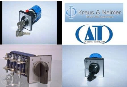 Công tắc chuyển mạch CA10 - VN0242 FT2