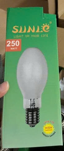 Bóng cao áp thủy ngân GYZ/250
