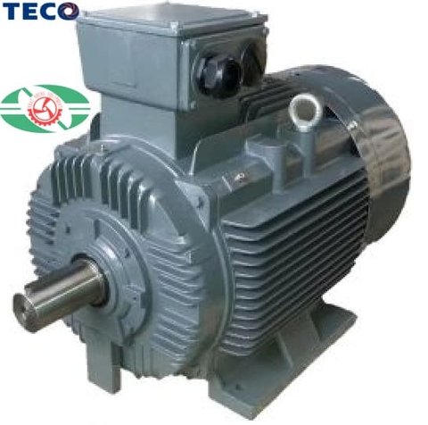 Động cơ AEVF-4P-0.5HP