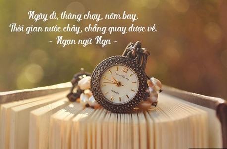 Công ty Dịch Vụ Bảo Vệ Âu Việt