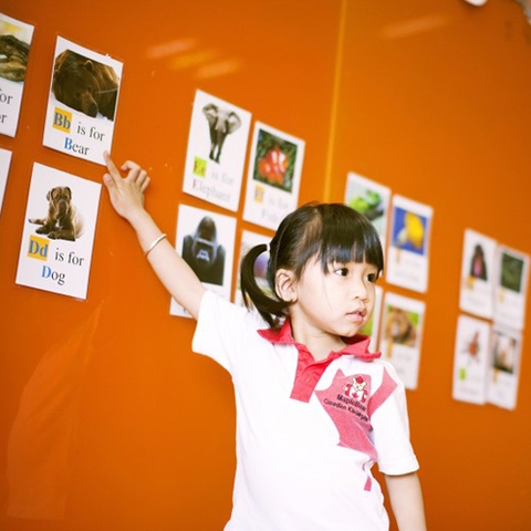 Phụ huynh có thể giúp trẻ như thế nào?