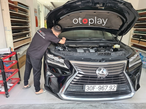 Lưới chống chuột cho Lexus RX 350