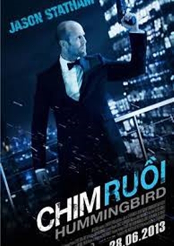 Chim Ruồi  : HummingBird