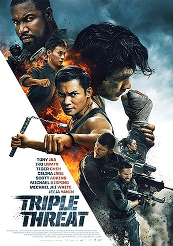 Triple Threat (2019) Bộ Ba Vệ Sĩ