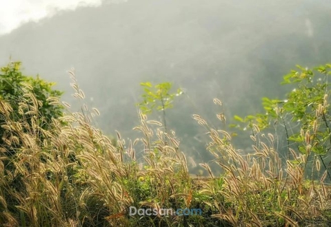 Kinh nghiệm du lịch Măng Đen của du khách ở ẩn trong 1 tháng