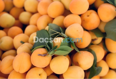 Mơ Ngâm Mật Ong - Ngon Và Khỏe