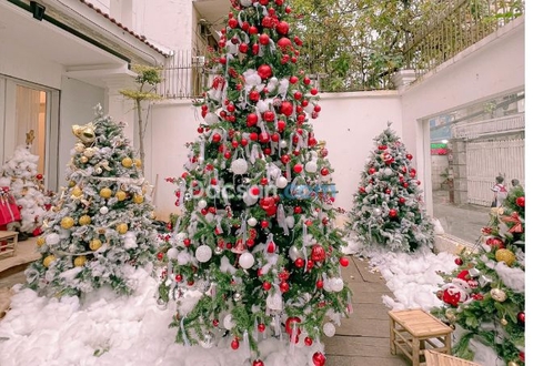 Noel 2024, giới trẻ TP HCM rủ nhau check-in tại quán cà phê có phun tuyết