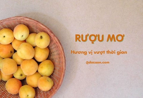 Thương hiệu rượu mơ hơn 1 thập kỷ qua trong lòng tín đồ ẩm thực Sài thành