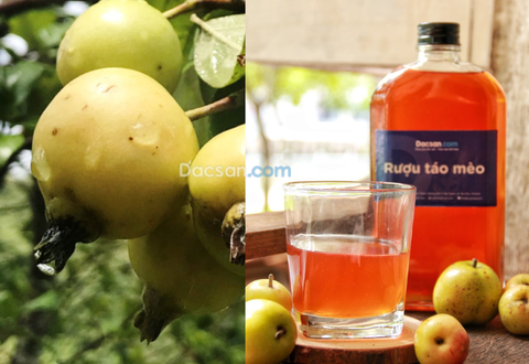 Rượu táo mèo đóng chai có xuất xứ rõ ràng bán ở đâu TP.HCM?