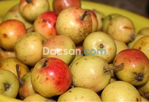 Trái táo mèo tươi (quả sơn tra) có tốt không?