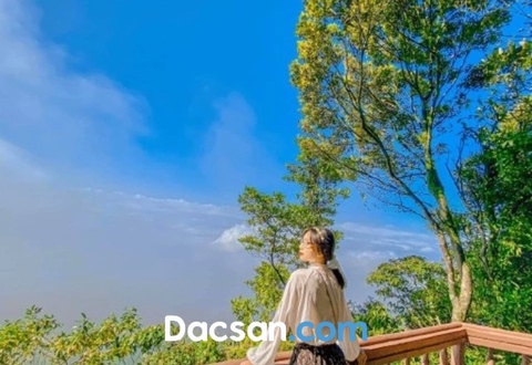 MÊ MẨN CẢNH THIÊN NHIÊN TRÙ PHÚ TẠI VƯỜN QUỐC GIA BA VÌ