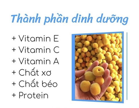 Quả mơ là loại quả gì? | Dacsan.com Quả Mơ Là Loại Quả Gì? | Dacsan.Com