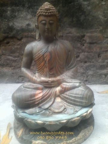 Phật Thích Ca gỗ đổi màu (TC105)