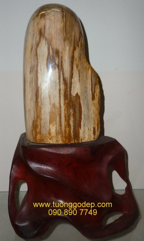 Gỗ Hoá Thạch