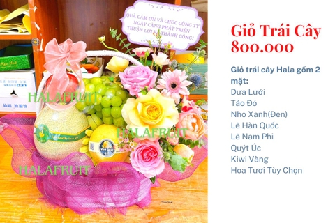Giỏ hoa quả 800k