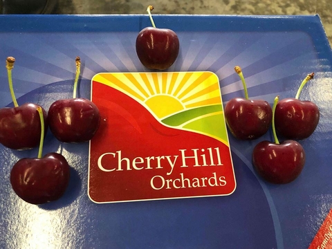 Cherry Hill của Úc