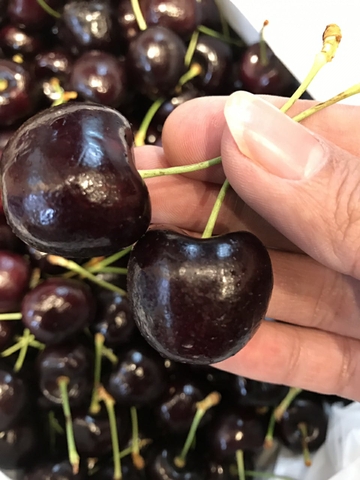 Cherry Úc xách tay