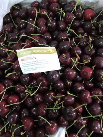 Cherry Úc nhập khẩu