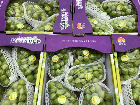 Hala Fruit địa chỉ bán nho sữa Hàn Quốc chất lượng