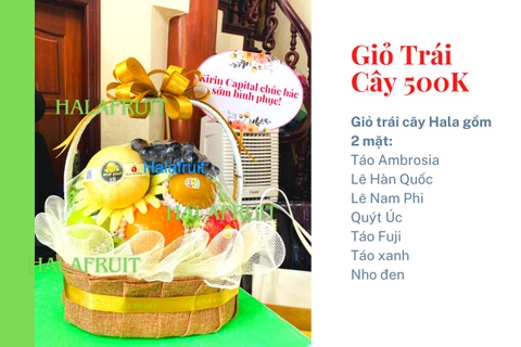 Giỏ hoa quả 500k