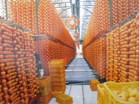 Mua hồng dẻo Hàn Quốc tại Hà Nội xách tay uy tín tại halafruit.vn