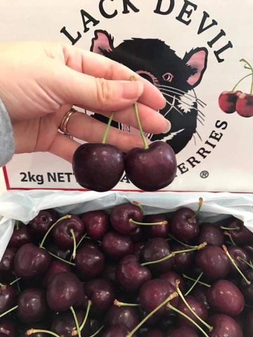 Cherry | Cherry nhập khẩu Hà Nội | Cherry nhập khẩu giá rẻ