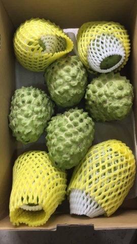 Mãng cầu na Đài Loan