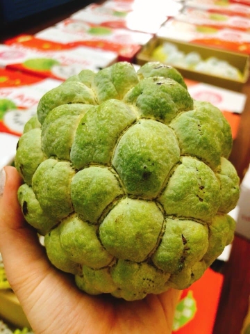 Khảo sát giá Na Đài Loan bao nhiêu tiền 1kg ?