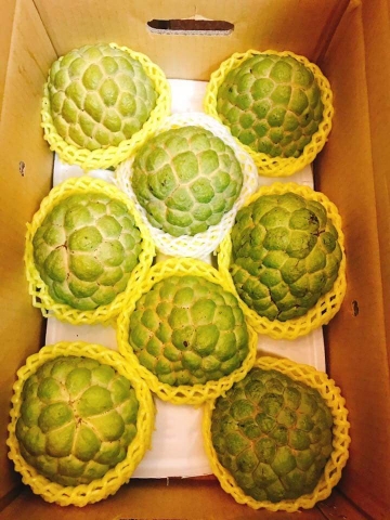 Na Đài Loan tại Hà Nội