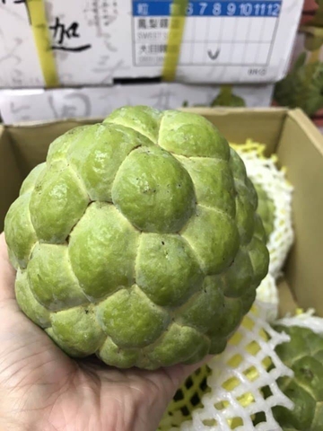 Giá bán na Đài Loan