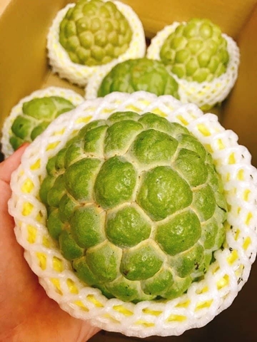 Những thực phẩm tốt cho phụ nữ mang thai
