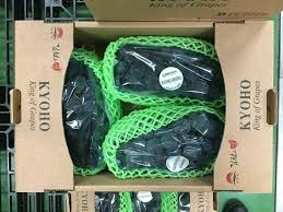 Nho Hàn Quốc bao nhiêu tiền? Nho nào là loại đắt nhất và ngon nhất?