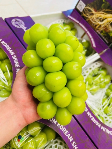 Nho Sữa Hàn Quốc