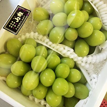 10 lý do bạn nên ăn nho sữa Nhật mỗi ngày
