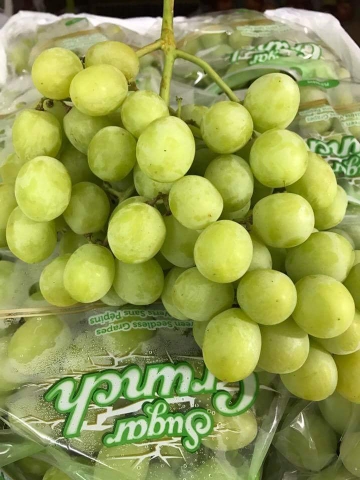 Nho xanh không hạt Mỹ
