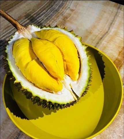 Sầu Riêng Musangking