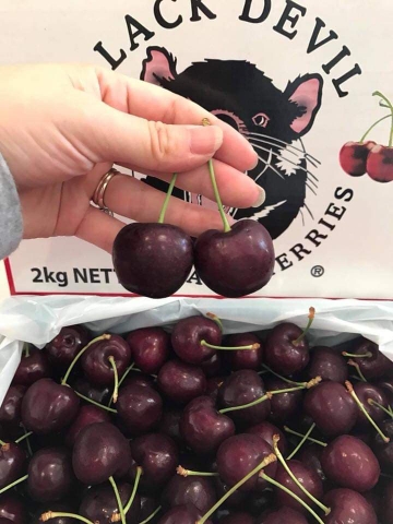 hộp cherry 2kg