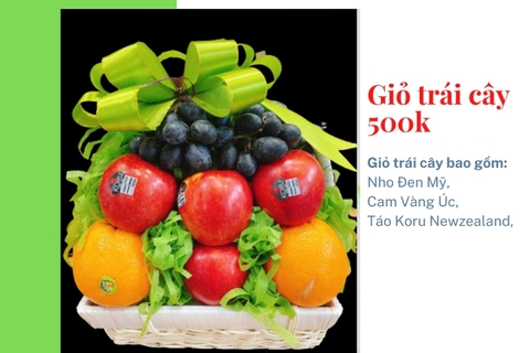 Giỏ trái cây 500k mã HL5008