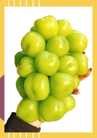 Nho sữa Hàn loại 700g